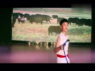 《少年英雄王二小》